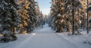 Online auf Biathlon wetten 2026: GGL-Lizenz, Wettarten und Anbieter
